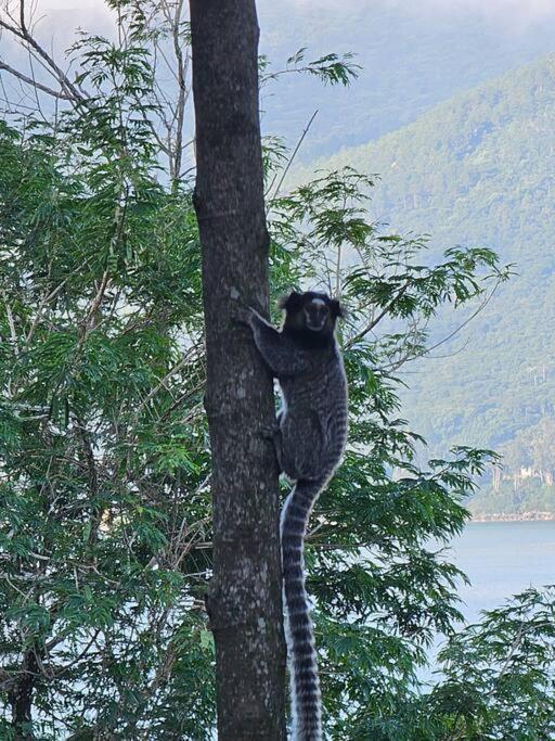 Hotel Nosso Mar Florianópolis Zewnętrze zdjęcie